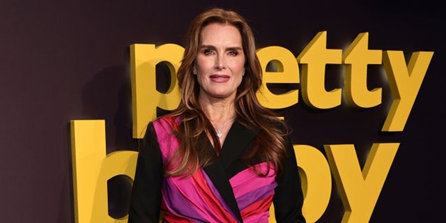Brooke Shields' documentary explored all aspects of her life.
