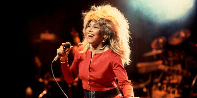 Tina Turner on stage