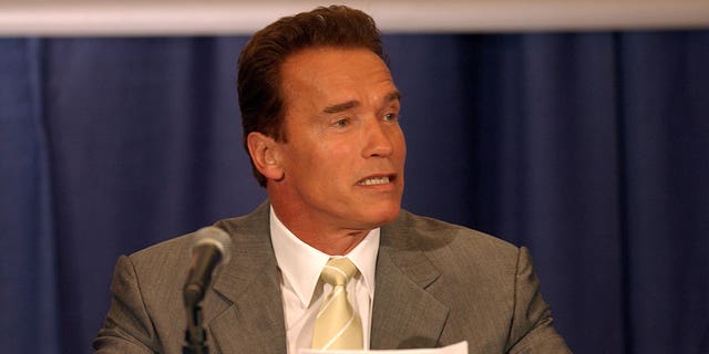 Arnold Schwarzenegger during an economic recovery council