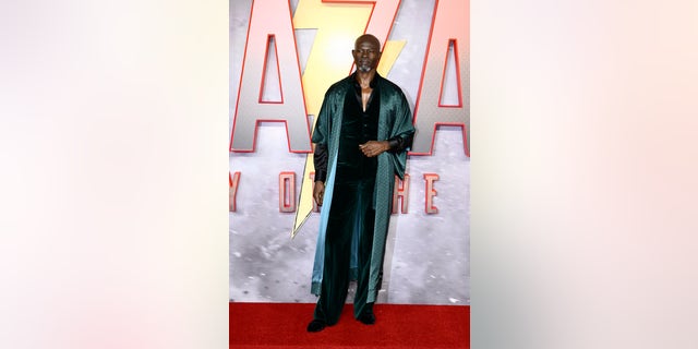 Djimon Hounsou expressed he felt no support from anybody for his Hollywood performances.