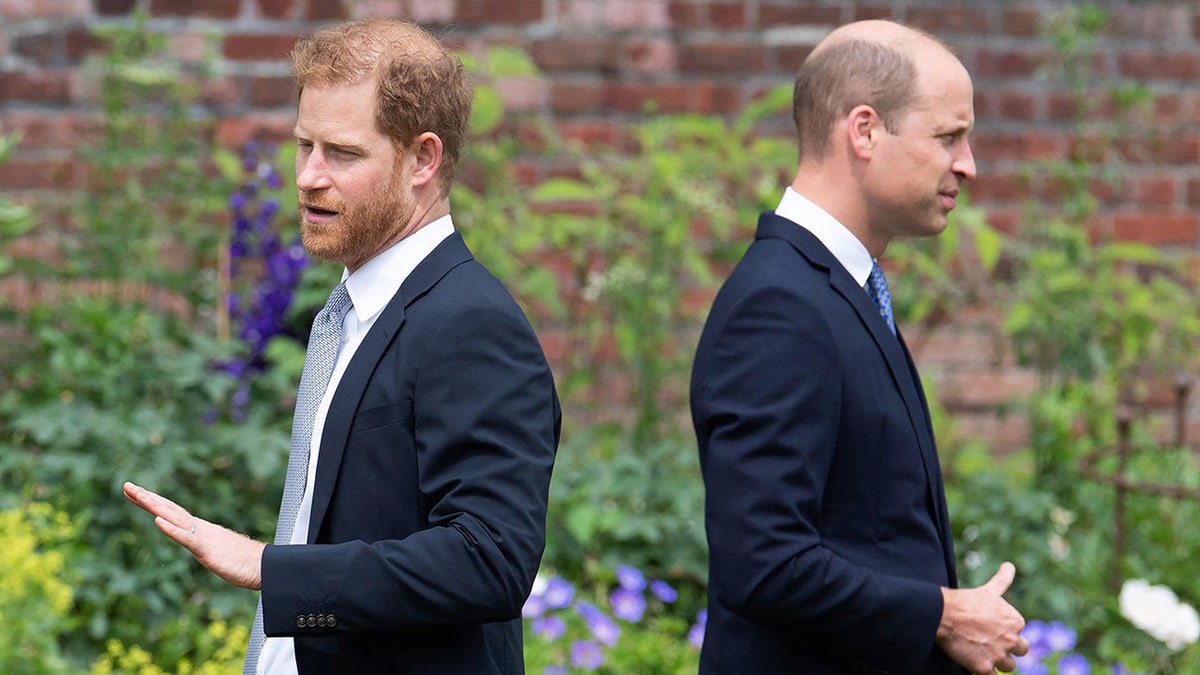 Prince Harry and Prince William with their backs facin each