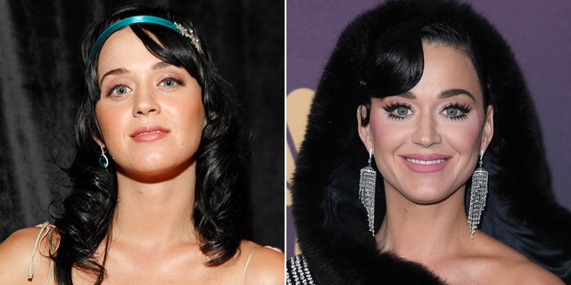At the start of her career, Katy Perry appeared as herself on "The Young and the Restless."