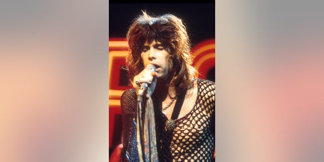 Steven Tyler was 25 years old at the time he met Julia Holcomb – now Julia Misley.